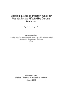 Microbial Status of Irrigation Water for Vegetables As Affected by Cultural Practices