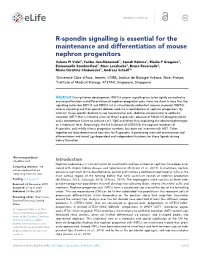 R-Spondin Signalling Is Essential for the Maintenance And