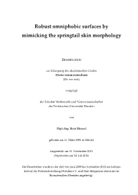 Robust Omniphobic Surfaces by Mimicking the Springtail Skin Morphology