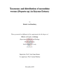 Taxonomy and Distribution of Moonshine Worms (Diopatra Sp.) in Knysna Estuary