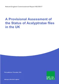 A Provisional Assessment of the Status of Acalyptratae Flies in the UK