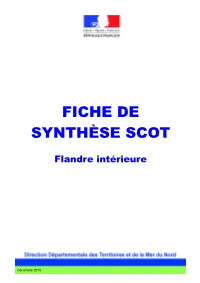 Fiche De Synthèse Scot