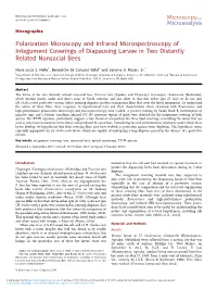 Polarization Microscopy and Infrared Microspectroscopy of Integument Coverings of Diapausing Larvae in Two Distantly Related Nonsocial Bees