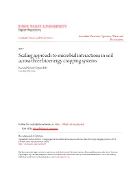 Scaling Approach to Microbial Interactions in Soil Across Three Bioenergy Cropping Systems Racheal Nichole Upton(Erb) Iowa State University
