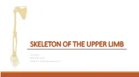 Skeleton of the Upper Limb