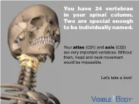 You Have 24 Vertebrae in Your Spinal Column. Two Are Special Enough to Be Individually Named