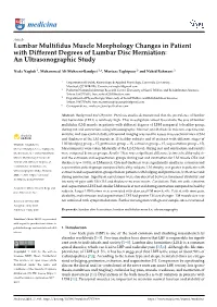 Lumbar Multifidus Muscle Morphology Changes in Patient with Different