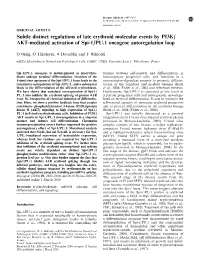 PU.1 Oncogene Autoregulation Loop