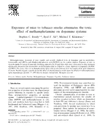 Exposure of Mice to Tobacco Smoke Attenuates the Toxic Effect of Methamphetamine on Dopamine Systems