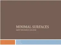 Minimal Surfaces Saint Michael’S College