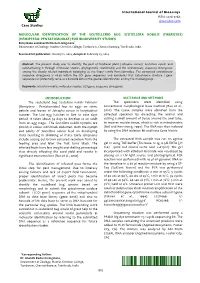 Molecular Identification Of