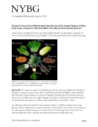 Research Team Led by NYBG Scientist Identifies the Likely Original Relative of Many Food Crops, a Resource That Could Make Them More Environmentally Resilient