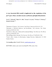 A Rare Bacterial RNA Motif Is Implicated in the Regulation of the Purf Gene Whose Encoded Enzyme Synthesizes Phosphoribosylamine