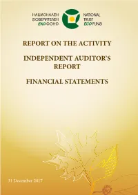 Report on the Activity Independent Auditor's Report Financial Statements