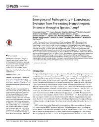 Emergence of Pathogenicity in Lagoviruses: Evolution from Pre-Existing Nonpathogenic Strains Or Through a Species Jump?