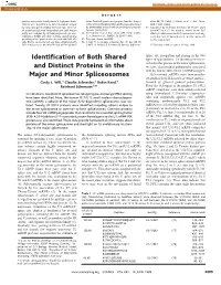 Identification of Both Shared and Distinct Proteins in the Major And