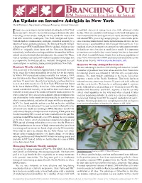 An Update on Invasive Adelgids in New York Mark Whitmore, Department of Natural Resources, Cornell University