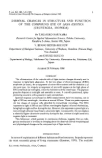 Diurnal Changes in Structure and Function of the Compound Eye of Ligia Exotica (Crustacea, Isopoda)