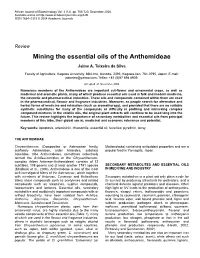 Mining the Essential Oils of the Anthemideae