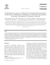 A Phylogenetic Analysis of Molecular and Morphological Characters