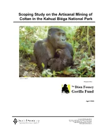 Scoping Study on the Artisanal Mining of Coltan in the Kahuzi Biéga National Park