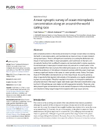 A Near-Synoptic Survey of Ocean Microplastic Concentration Along an Around-The-World Sailing Race