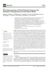 New Representation of Plant Hydraulics Improves the Estimates of Transpiration in Land Surface Model