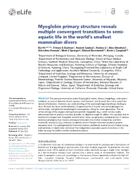 Myoglobin Primary Structure Reveals Multiple Convergent Transitions To