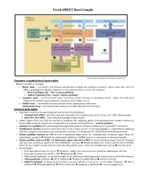 Overview of the Reticular Formation (RF)