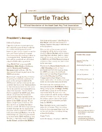 Turtle Tracks