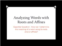 Analyzing Words with Roots and Affixes Essential Question: How Can I Determine the Meaning of a Word Using Its Roots And/Or Affixes? TEK