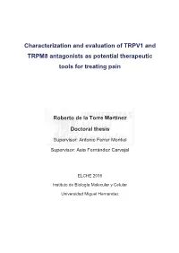 Characterization and Evaluation of TRPV1 and TRPM8 Antagonists As Potential Therapeutic Tools for Treating Pain