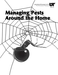 Managing Pests Around the Home