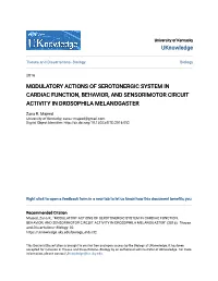 Modulatory Actions of Serotonergic System in Cardiac Function, Behavior, and Sensorimotor Circuit Activity in Drosophila Melanogaster