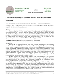 Clarification Regarding Old Records of Roccella in the Maltese Islands
