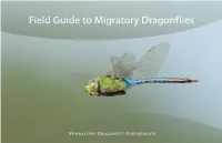 Field Guide to Migratory Dragonflies