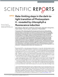 Rate-Limiting Steps in the Dark-To-Light Transition of Photosystem II