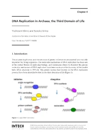 DNA Replication in Archaea, the Third Domain of Life