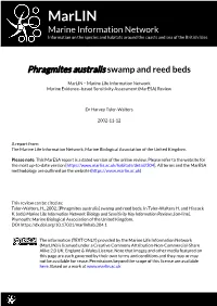 Download PDF Version