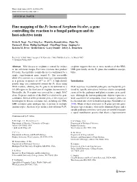 Fine Mapping of the Pc Locus of Sorghum Bicolor, a Gene Controlling the Reaction to a Fungal Pathogen and Its Host-Selective Toxin