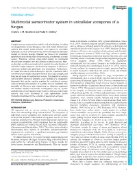 Multimodal Sensorimotor System in Unicellular Zoospores of a Fungus Andrew J