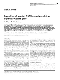 Acquisition of Inverted GSTM Exons by an Intron of Primate GSTM5 Gene