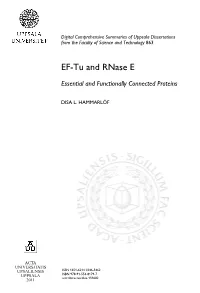 EF-Tu and Rnase E Are Functionally Connected