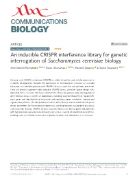 An Inducible CRISPR Interference Library for Genetic Interrogation Of