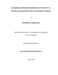 Cholinergic Interneuron Mediated Activation of G