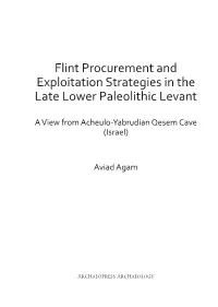 Flint Procurement and Exploitation Strategies in the Late Lower Paleolithic Levant