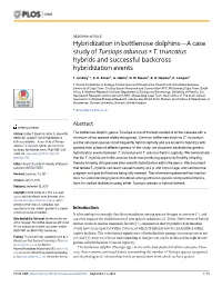 Hybridization in Bottlenose Dolphins—A Case Study of Tursiops Aduncus × T
