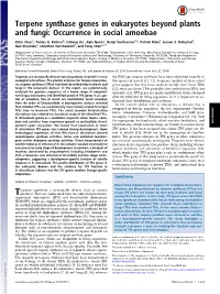 Terpene Synthase Genes in Eukaryotes Beyond Plants and Fungi: Occurrence in Social Amoebae