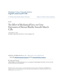 The Effect of Mechanical Force on Gene Expression of Human Bladder Smooth Muscle Cells" (2012)