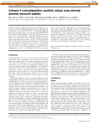 Cathepsin B Carboxydipeptidase Specificity Analysis Using Internally